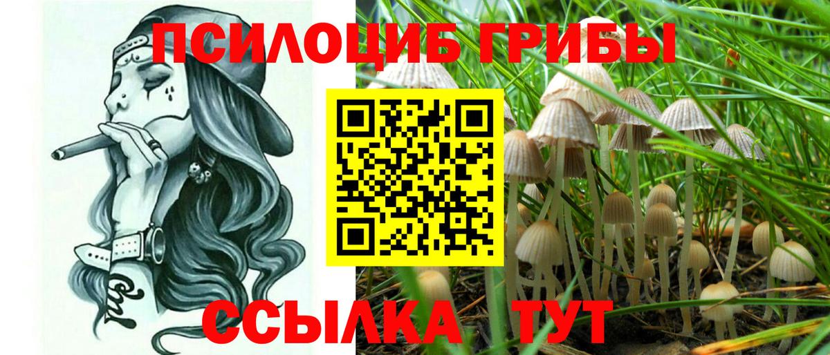 Псилоцибиновые грибы ЛСД  Вход с VPN  Псилоцибиновые грибы MAGIC MUSHROOMS  Королёв 